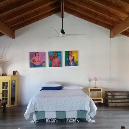 La Casa De Los Murales Avellaneda  Kültér fotó