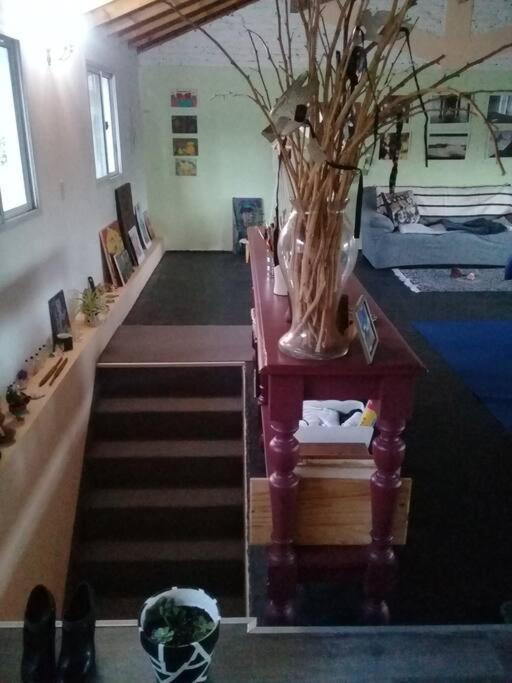 La Casa De Los Murales Avellaneda  Kültér fotó